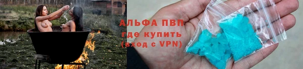 хмурый Белокуриха