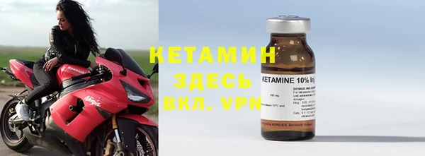 хмурый Белокуриха