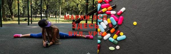 хмурый Белокуриха