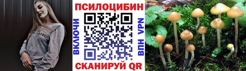 Купить где Мостовской Галлюциногенные грибы Psilocybine cubensis