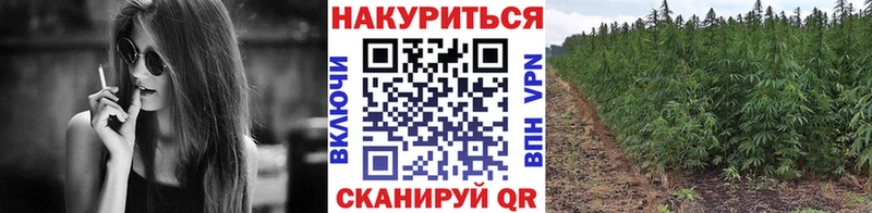 Каннабис SATIVA & INDICA Мостовской